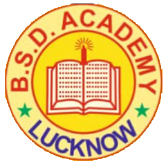 B.S.D. ACADEMY Official Logo